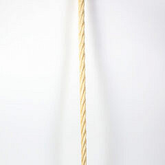Whaler Made Mushroom Grip Walking Stick, mid 19th Century