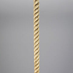 Whale Made C-Grip Handle Cane, mid 19th Century