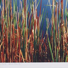 Mark Sutherland Limited Edition Photograph #1/50