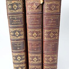 Three Leather Bound Volumes "Quadrupeds Of North America", 18th Century