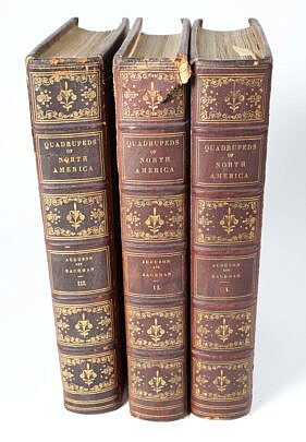 Three Leather Bound Volumes "Quadrupeds Of North America", 18th Century
