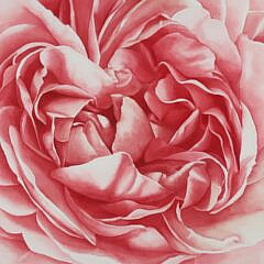 Michele R. Lavalette (French, 20th Century) Watercolor “Peony Cluster”