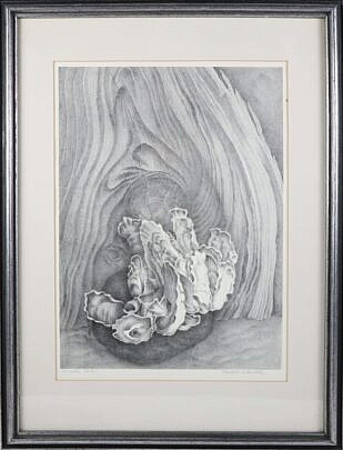 Elizabeth Saltonstall Engraving Titled "Rocialle"