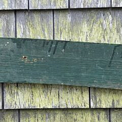 Antique Carved and Painted, “Jenny Lee”, Ships Quarterboard Plaque