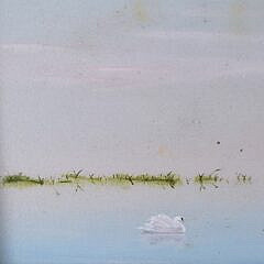Robert Stark Jr. Oil on Masonite, “Polpis Swans”