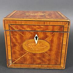 Antique British Regency Satinwood Conch Shell Inlaid Tea Caddy, 19th century
