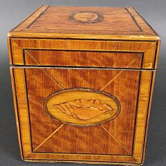 Antique British Regency Satinwood Conch Shell Inlaid Tea Caddy, 19th century