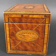 Antique British Regency Satinwood Conch Shell Inlaid Tea Caddy, 19th century