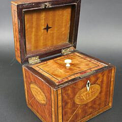 Antique British Regency Satinwood Conch Shell Inlaid Tea Caddy, 19th century