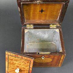 Antique British Regency Satinwood Conch Shell Inlaid Tea Caddy, 19th century