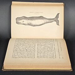 Book: The History of Nantucket, Second Edition, By Obed Macy