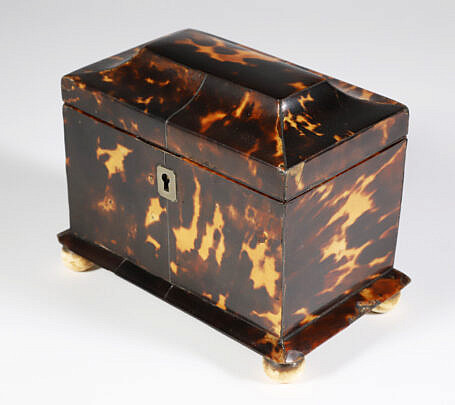 42790 Diminutive Tortoiseshell Tea Caddy A 8092_2 JPG