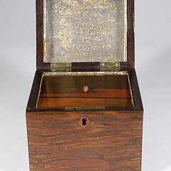 British Regency Exotic Wood Parquetry Tea Caddy, circa 1820