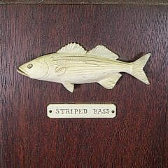 Antique Sailor Made Carved Antique Whalebone Striped Bass Plaque, 19th century