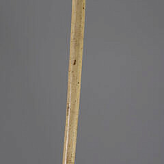 Whaler Made Eagle Grip Cane, 19th Century