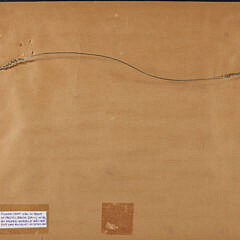 Ruth Haviland Sutton Black And White Etching “Flower Market Nantucket”