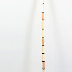 Eskimo Artist Made Polar Bear Cane, 19th Century