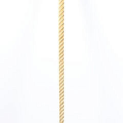 Whaler Made Crown Knob Walking Stick, mid 19th Century