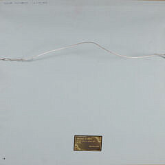 Edgar W. Jenney Watercolor on Paper “Sugar Plantation”