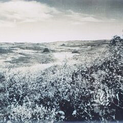 Three James Francis Barker Photographs