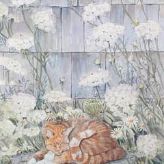 Barbara Van Winkelen Watercolor On Paper “Tabby Cat Sleeping Amongst Queen Anne’s Lace”