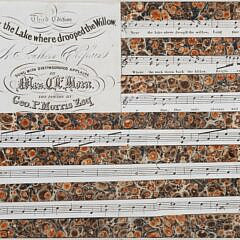 Richard Kemble "Musical Rendition American Flag"