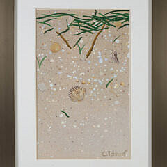 C. Tennant Watercolor "Shells"