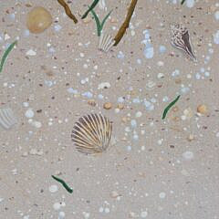 Charles Tennant Watercolor on Paper “Shells”