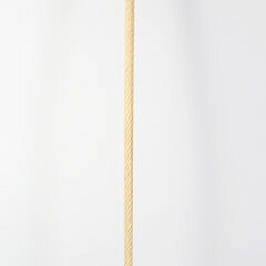 Whaler Made Lady’s Capstan Grip Walking Stick, mid 19th Century