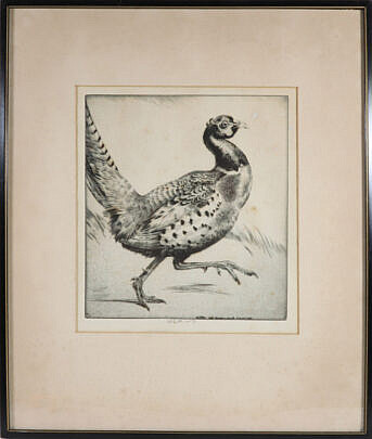Emerson Tuttle Dry Point Etching "Running Pheasant", circa 1932