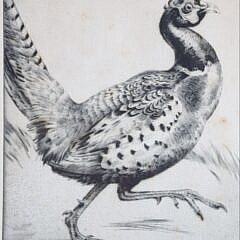 Emerson Tuttle Dry Point Etching “Running Pheasant”, circa 1932