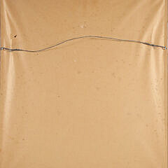 Emerson Tuttle Dry Point Etching “Running Pheasant”, circa 1932