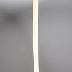 Whaler Made Gold Plated Knob Anique Narwhal Walking Stick, early to mid 19th Century