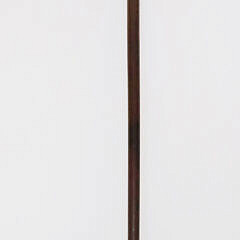 Whale Made Eagle Head Cane, 19th Century