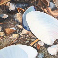 Carol Sims Acrylic On Canvas “Sea Shells”