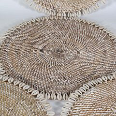 Eight Bali Cowrie Shell Placements