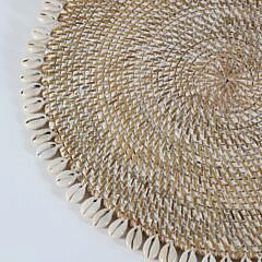 Eight Bali Cowrie Shell Placements