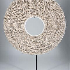 101 Bali Minature Cowrie Shell Bi A 9857 JPG