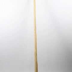 Narwhal Tusk 19th century