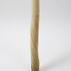 Antique Narwhal Tusk, 19th century