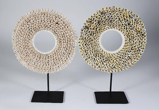 101 Two Bali Cowrie Shell Bi’s on Stands A 9847 JPG