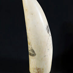 Scrimshaw Antique Whale Tooth “Lady in Hoop Skirt”
