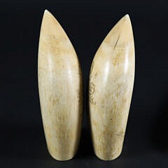 Pair of Scrimshaw Antique Whale Teeth “Sailor and Clipper”