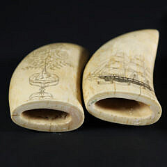 Pair of Scrimshaw Antique Whale Teeth “Sailor and Clipper”