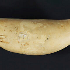 Scrimshaw Polychromed Whale Tooth “The Sun of Austerlitz”