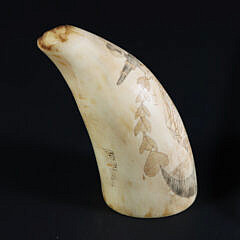 Scrimshaw Polychrome Whale Tooth “Square Rigged Ship and Anchor”