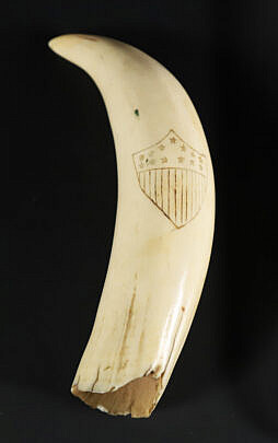 Antique Scrimshaw Sperm Whale Tooth