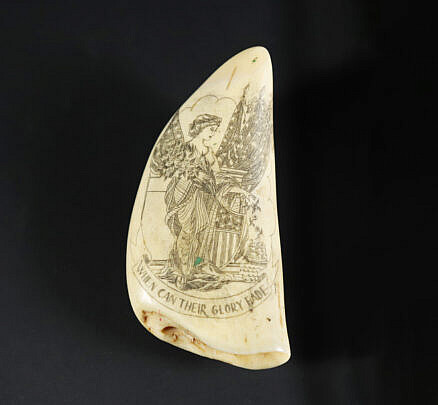 Antique Scrimshaw Sperm Whale Tooth