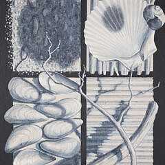 Donn Russell Oil on Canvas Board “Seashell Still Life”