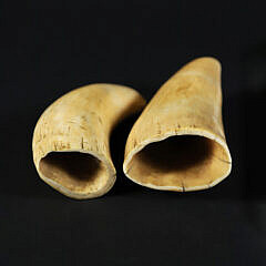 Two Scrimshaw Whale Teeth, 19th Century